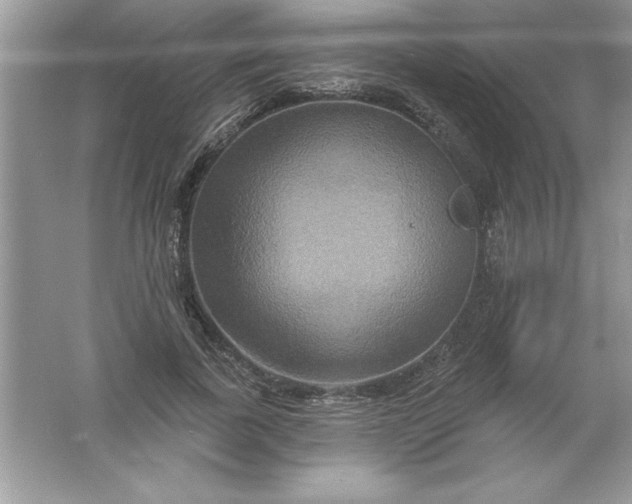 X0000061750739200512161716