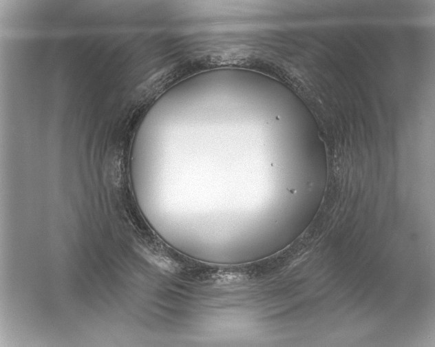 X0000061750741200512161716