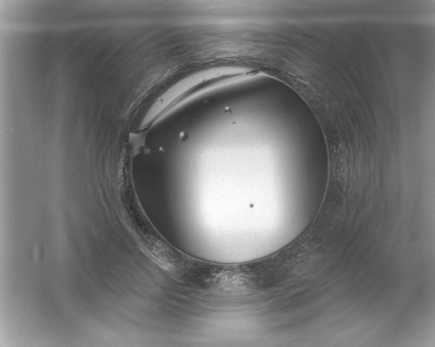 X0000061750742200512161716