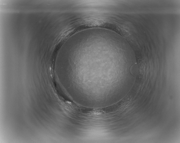 X0000061750743200512161716