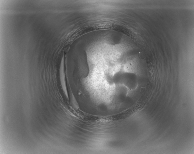 X0000061750745200512161716