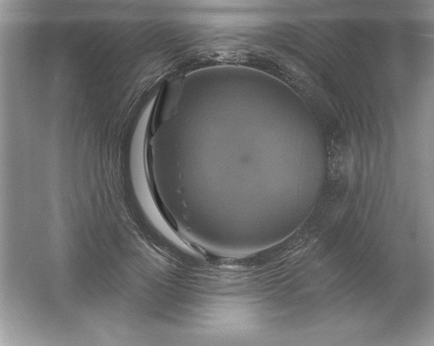 X0000061750748200512161716