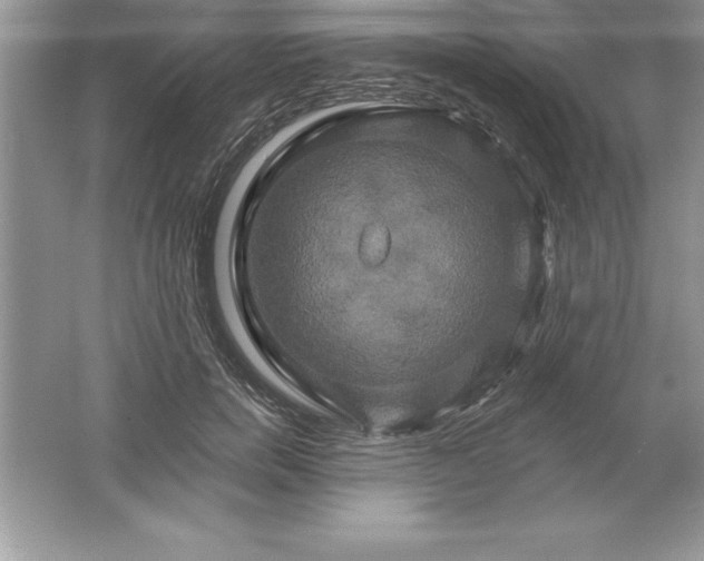 X0000061750750200512161716