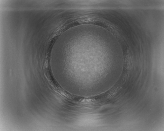 X0000061750751200512161716