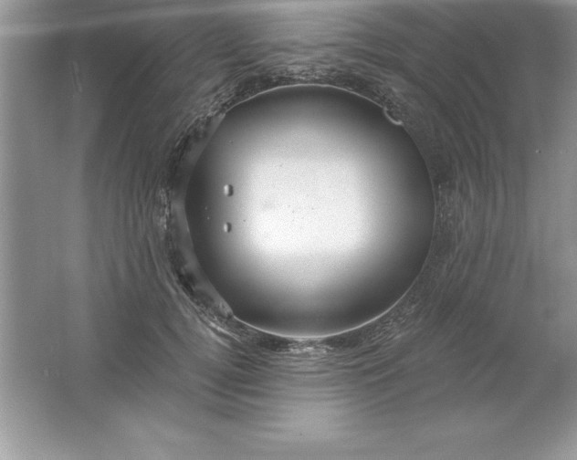 X0000061750752200512161716