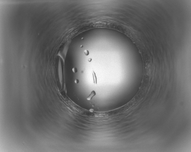 X0000061750753200512161716