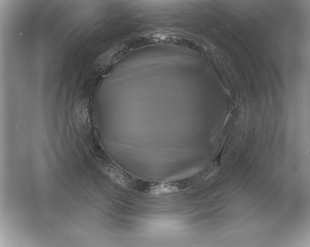 X0000061750754200512161716