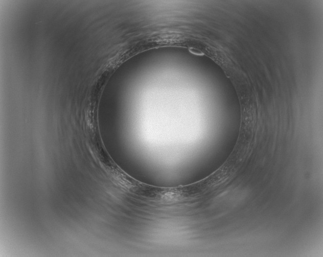 X0000061750755200512161716