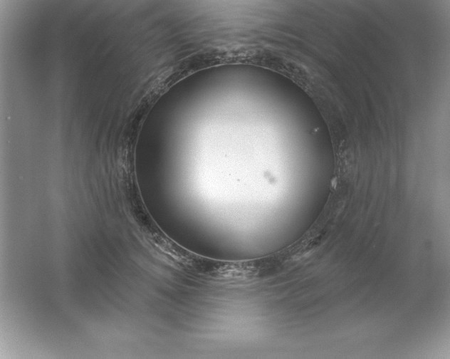 X0000061750756200512161716