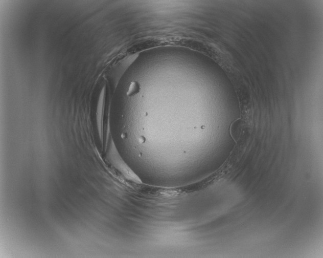 X0000061750757200512161716