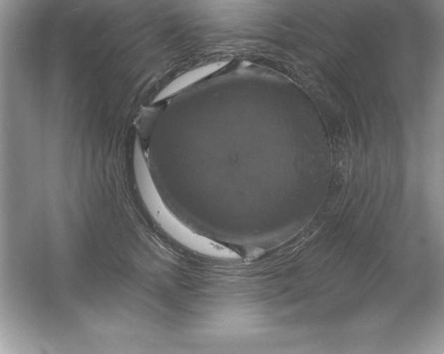 X0000061750758200512161716