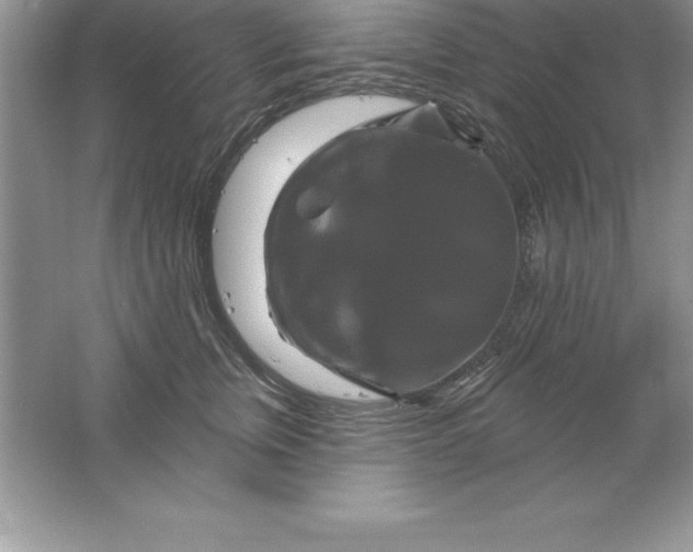 X0000061750759200512161716