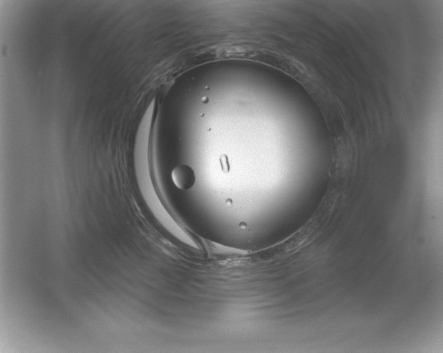 X0000061750761200512161716