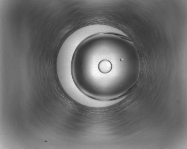 X0000061750762200512161716