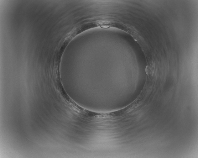 X0000061750763200512161716