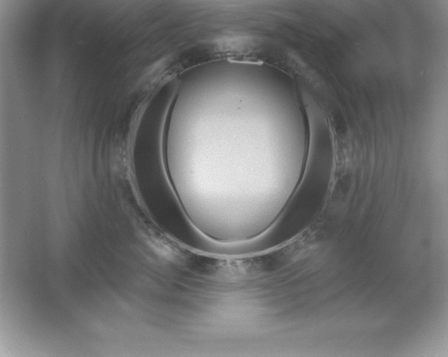 X0000061750764200512161716