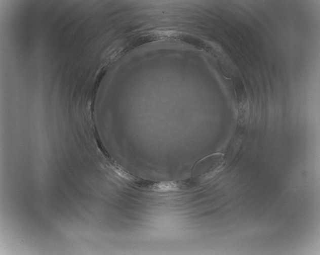 X0000061750765200512161716