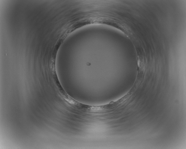 X0000061750766200512161716