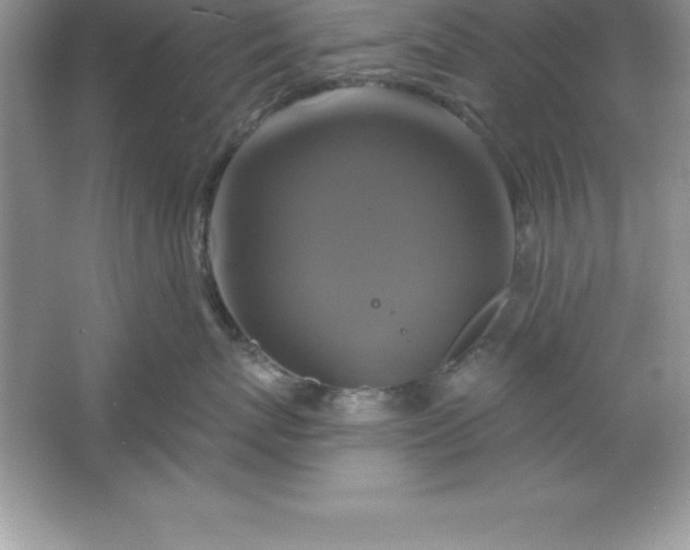 X0000061750767200512161717