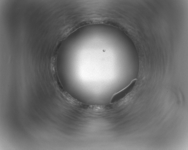 X0000061750768200512161717