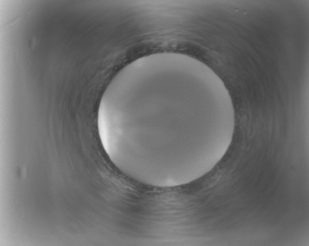 X0000061750769200512161716