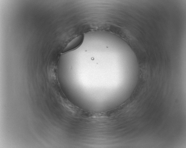 X0000061750770200512161716