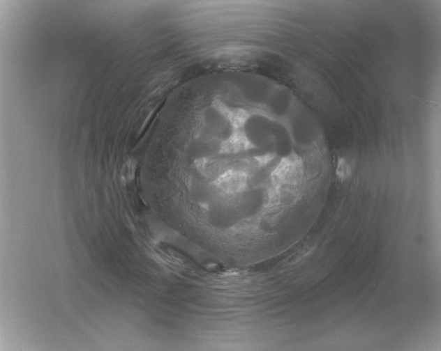 X0000061750771200512161716