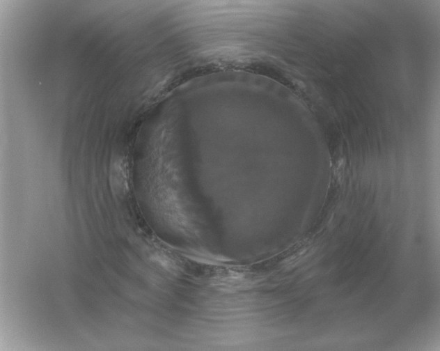 X0000061750772200512161716