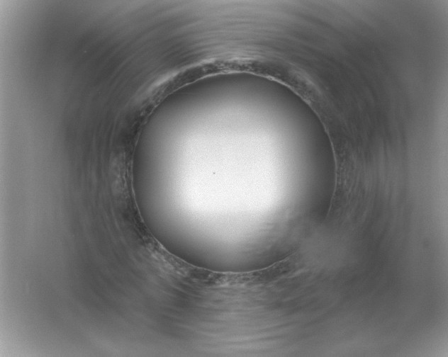 X0000061750773200512161716