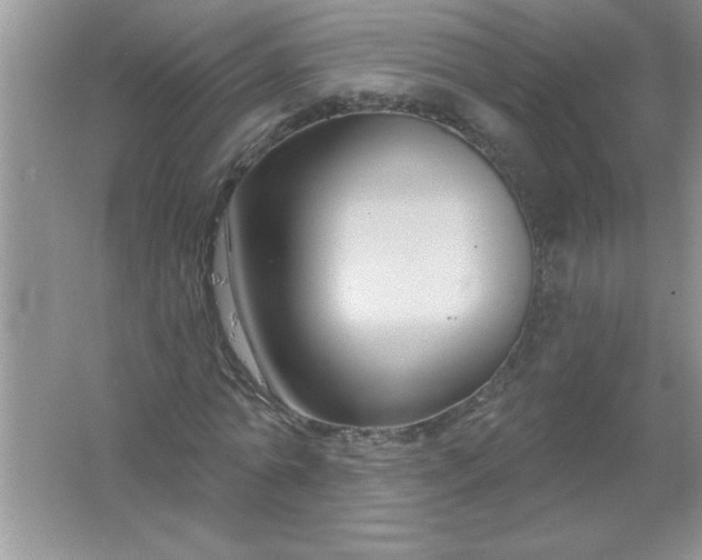 X0000061750774200512161716