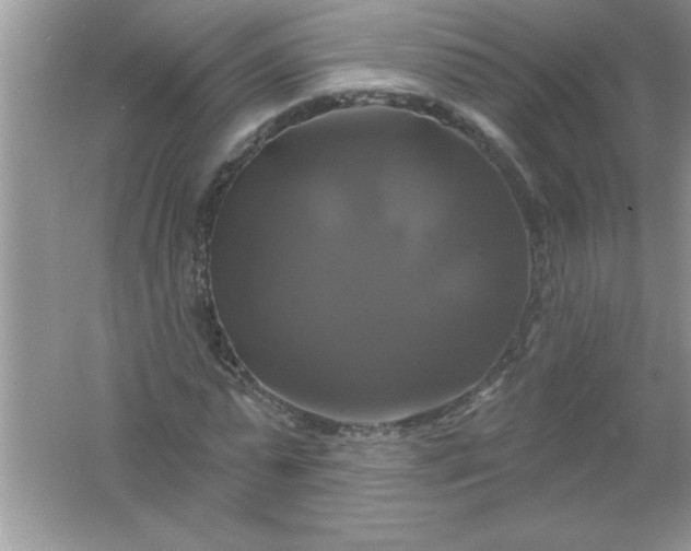 X0000061750775200512161716