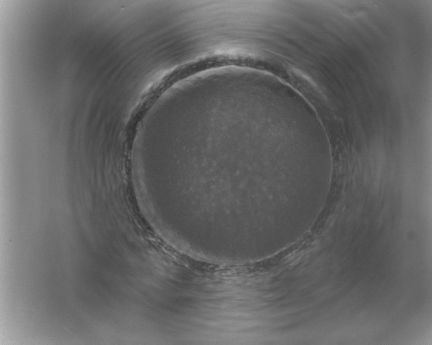 X0000061750776200512161716