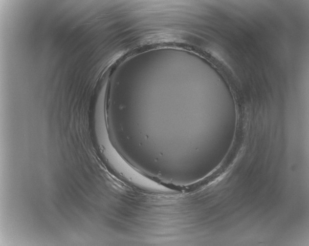 X0000061750777200512161716