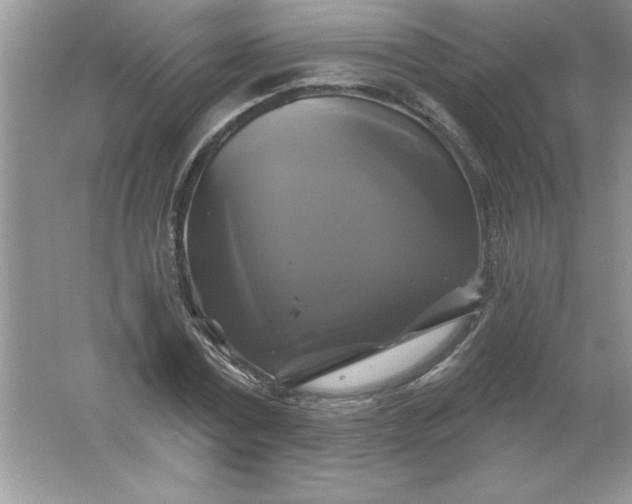 X0000061750779200512161716