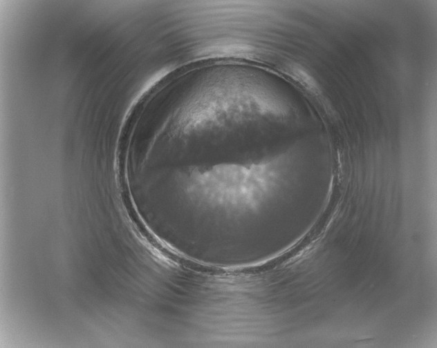 X0000061750780200512161715