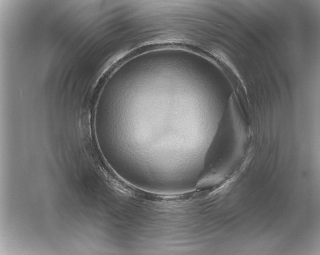 X0000061750781200512161715