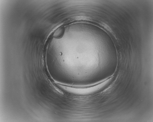 X0000061750782200512161715