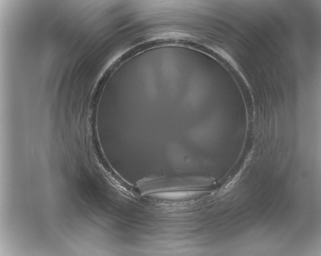 X0000061750783200512161715