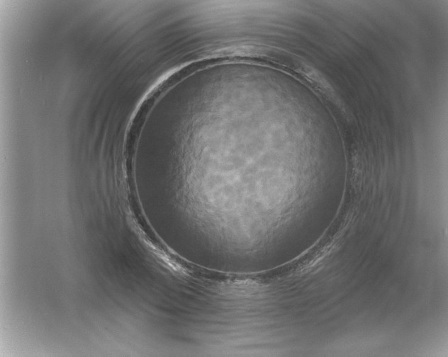 X0000061750784200512161715