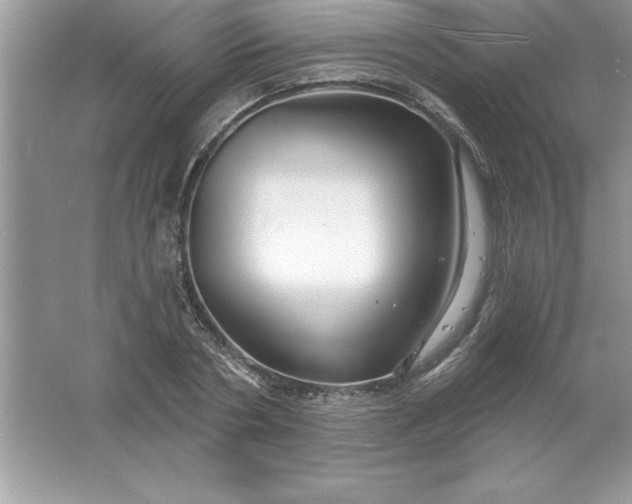 X0000061750786200512161715