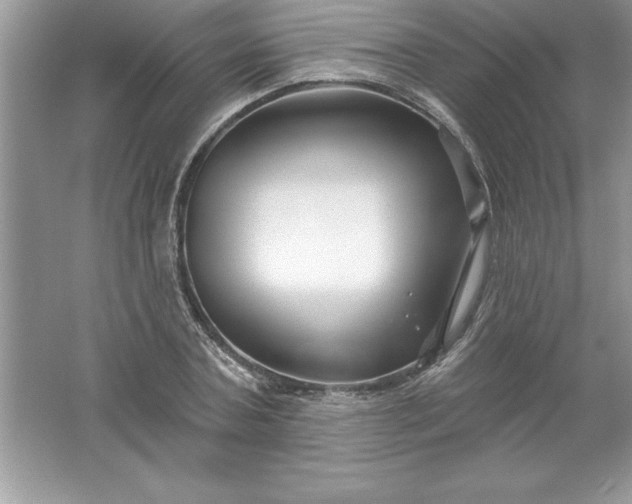 X0000061750787200512161715