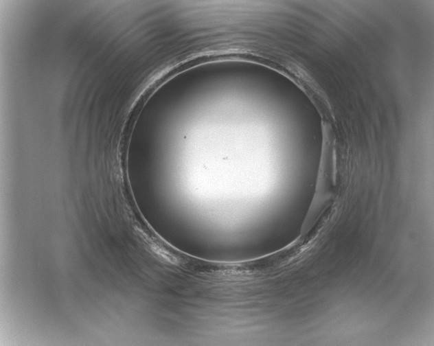 X0000061750789200512161715