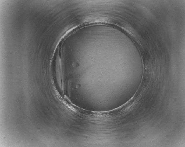 X0000061750790200512161715