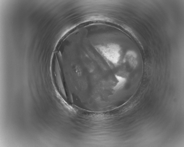 X0000061750791200512161715