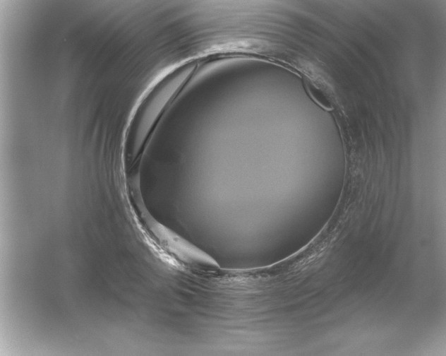 X0000061750792200512161715