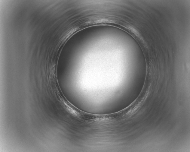 X0000061750793200512161715