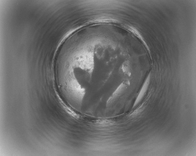 X0000061750795200512161715