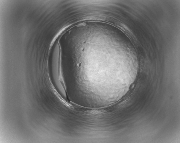 X0000061750796200512161715