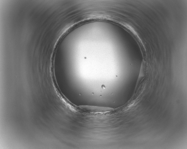 X0000061750799200512161715