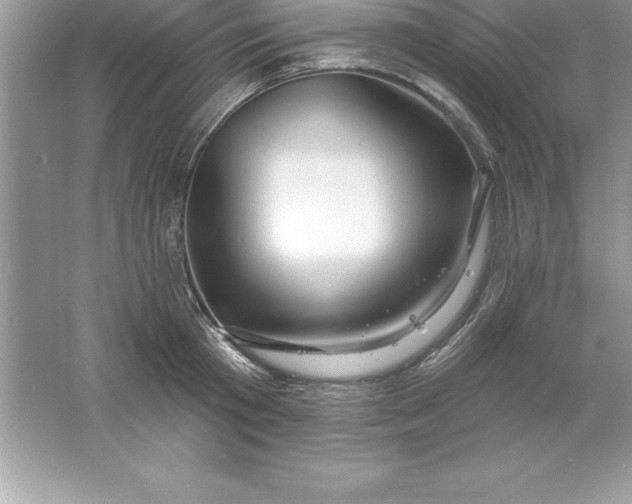 X0000061750801200512161715